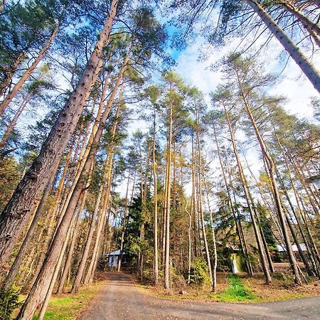 Bungalow Direkt Am See, Mit Eigenem Boot Roding Ngoại thất bức ảnh